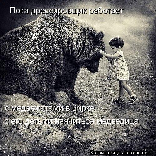Пока дрессировщик работает с медвежатами в цирке, с его детьми нянчиться медведица... Котоматрица: Пока дрессировщик работает с медвежатами в цирке, с его детьми нянчиться медведица
