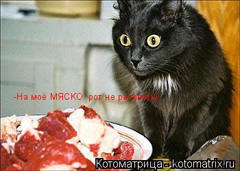 -На моё МЯСКО рот не разевать!... Котоматрица: -На моё МЯСКО рот не разевать!
