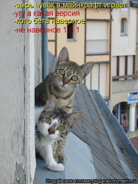 -зырь чувак в майнкрафт играет -угу а какая версия -кото бета наверное -не наверное 1.8.1... Котоматрица: -зырь чувак в майнкрафт играет -угу а какая версия -кото бета наверное -не наверное 1.8.1
