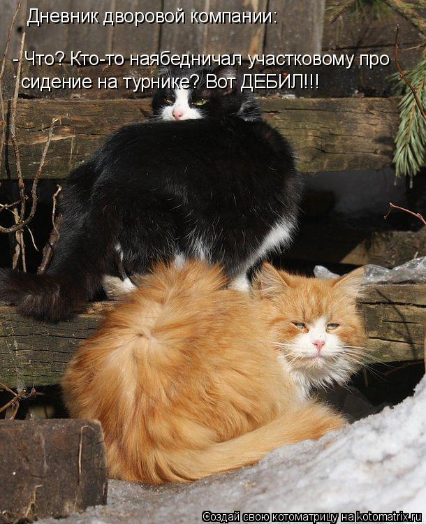 Котоматрица: Дневник дворовой компании: - Что? Кто-то наябедничал участковому про  сидение на турнике? Вот ДЕБИЛ!!!