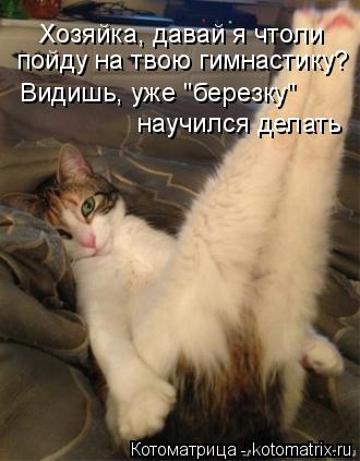 Хозяйка, давай я чтоли пойду на твою гимнастику? Видишь, уже "березку" научился делать... Котоматрица: Хозяйка, давай я чтоли пойду на твою гимнастику? Видишь, уже "березку" научился делать