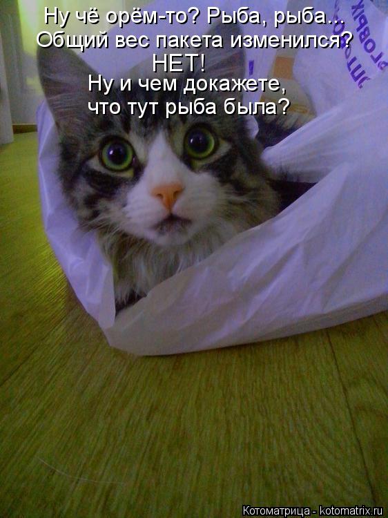Котоматрица: Ну чё орём-то? Рыба, рыба... Общий вес пакета изменился? НЕТ! Ну и чем докажете,  что тут рыба была?