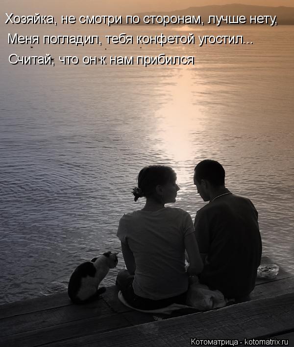 Хозяйка, не смотри по сторонам, лучше нету, Меня погладил, тебя конфетой угостил... Считай, что он к ... Котоматрица: Хозяйка, не смотри по сторонам, лучше нету, Меня погладил, тебя конфетой угостил... Считай, что он к нам прибился