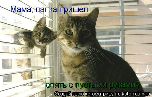 Мама, папка пришел опять с пустыми руками?... Котоматрица: Мама, папка пришел опять с пустыми руками?