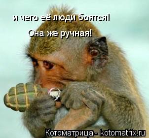 Котоматрица: и чего её люди боятся!  Она же ручная!