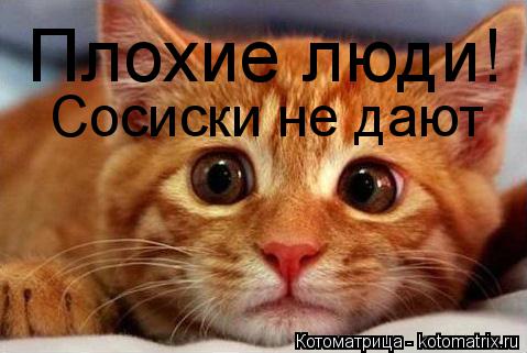 Плохие люди! Сосиски не дают... Котоматрица: Плохие люди! Сосиски не дают