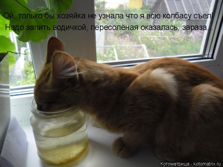 Ой, только бы хозяйка не узнала что я всю колбасу съел! Надо запить водичкой, пересолёная оказалась, ... Котоматрица: Ой, только бы хозяйка не узнала что я всю колбасу съел! Надо запить водичкой, пересолёная оказалась, зараза...