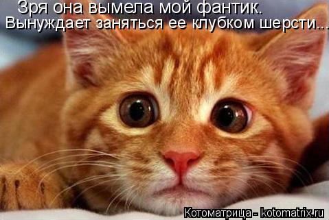 Зря она вымела мой фантик. Вынуждает заняться ее клубком шерсти...... Котоматрица: Зря она вымела мой фантик. Вынуждает заняться ее клубком шерсти...