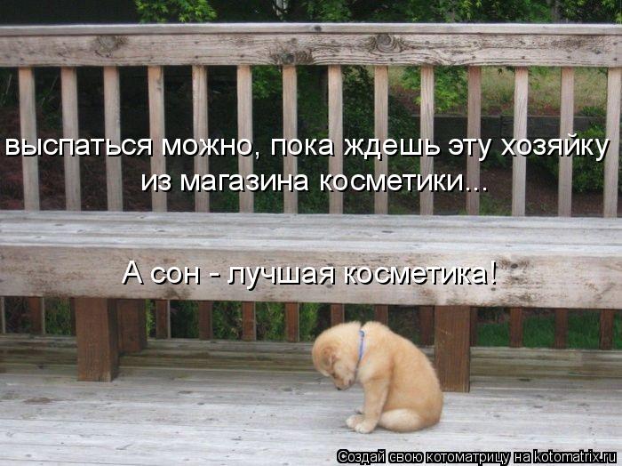 выспаться можно, пока ждешь эту хозяйку из магазина косметики... А сон - лучшая косметика!... Котоматрица: выспаться можно, пока ждешь эту хозяйку из магазина косметики... А сон - лучшая косметика!