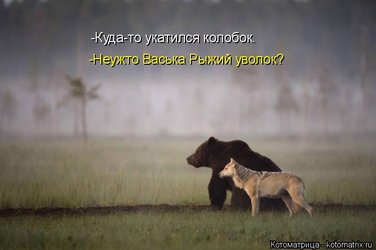 Котоматрица: -Куда-то укатился колобок. -Неужто Васька Рыжий уволок?