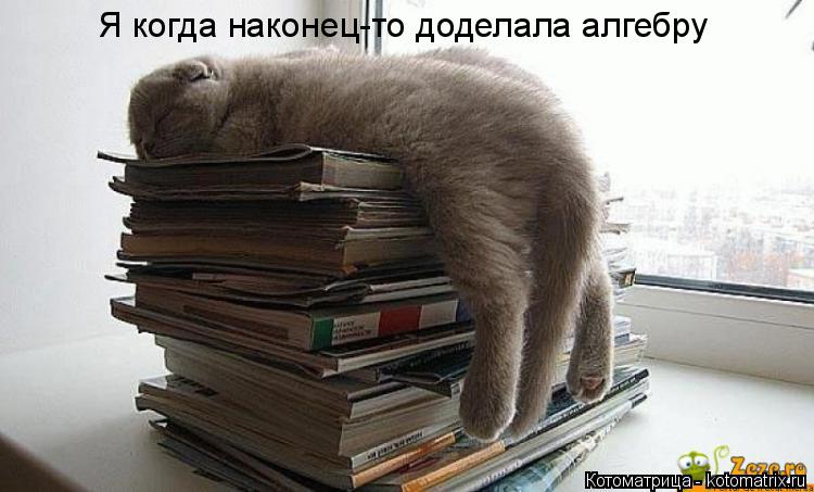 Котоматрица: Я когда наконец-то доделала алгебру