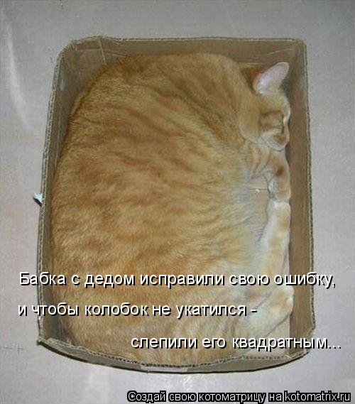 Котоматрица: Бабка с дедом исправили свою ошибку, и чтобы колобок не укатился - слепили его квадратным...