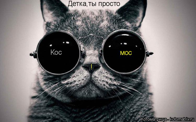 Котоматрица: Детка,ты просто Кос мос !