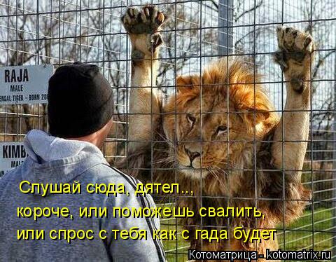 Котоматрица: Слушай сюда, дятел.., короче, или поможешь свалить, или спрос с тебя как с гада будет