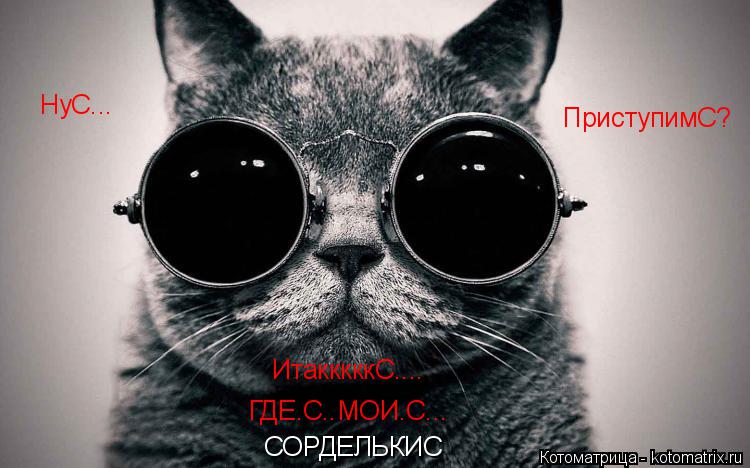 Котоматрица: НуС... ПриступимС? ИтакккккС.... ГДЕ.С..МОИ.С... СОРДЕЛЬКИС