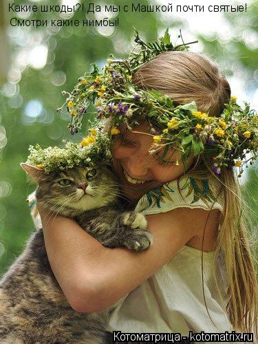 Котоматрица: Смотри какие нимбы! Какие шкоды?! Да мы с Машкой почти святые!