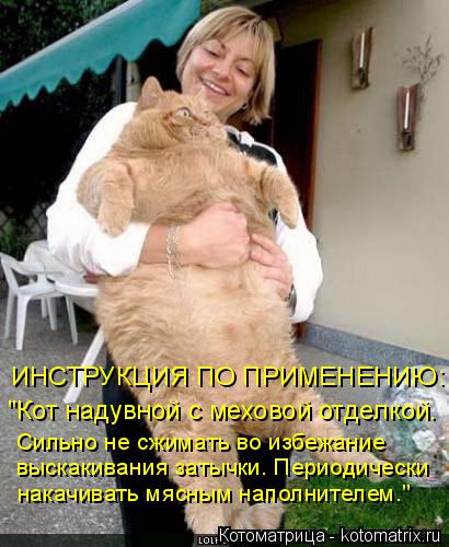 Котоматрица: накачивать мясным наполнителем." выскакивания затычки. Периодически Сильно не сжимать во избежание "Кот надувной с меховой отделкой. ИНСТР