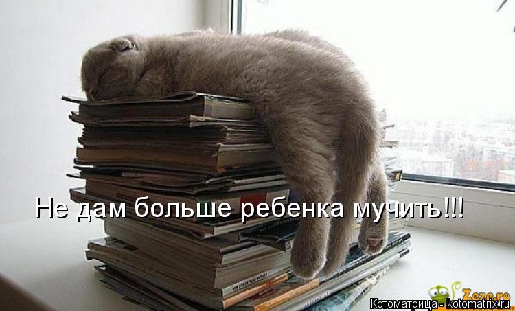 Котоматрица: Не дам больше ребенка мучить!!!