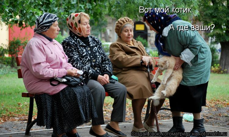 Котоматрица: Вот мой котик. А где ваши?