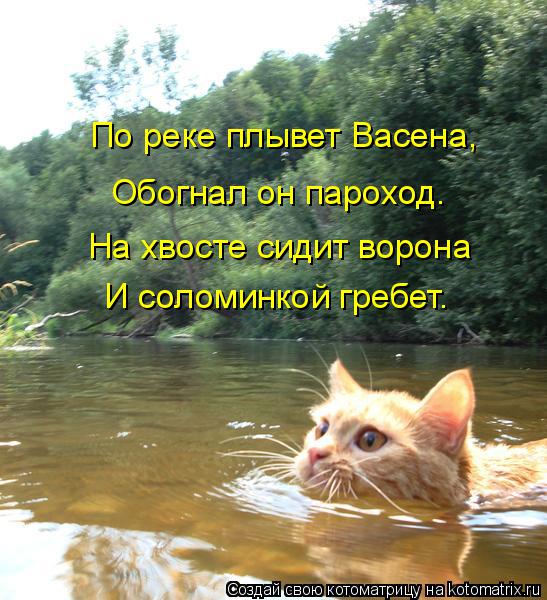 Котоматрица: И соломинкой гребет. На хвосте сидит ворона Обогнал он пароход. По реке плывет Васена,