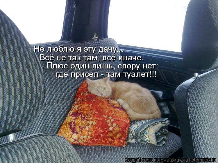 Котоматрица: Не люблю я эту дачу... Всё не так там, всё иначе. где присел - там туалет!!! Плюс один лишь, спору нет: