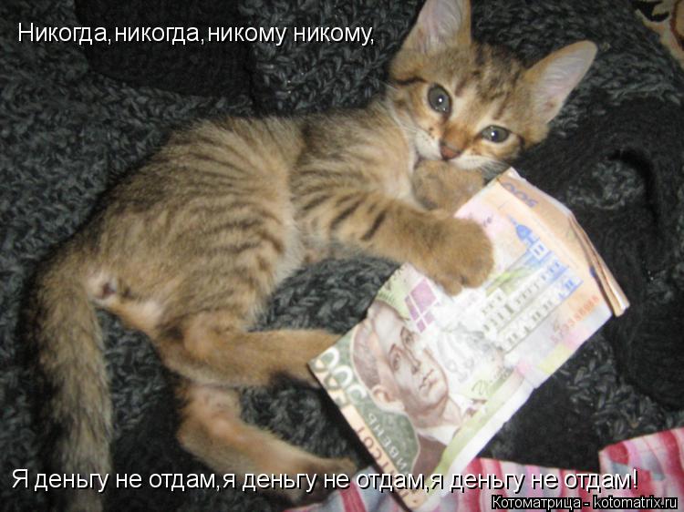 Котоматрица: Никогда,никогда,никому никому, Я деньгу не отдам,я деньгу не отдам,я деньгу не отдам!