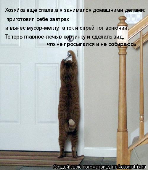 Котоматрица: Хозяйка еще спала,а я занимался домашними делами: приготовил себе завтрак и вынес мусор-метлу,тапок и спрей тот вонючий. Теперь главное-леч