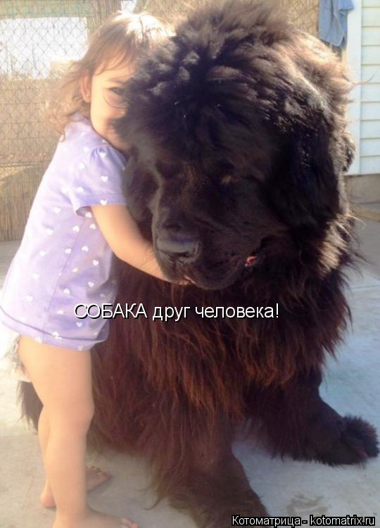 Котоматрица: СОБАКА друг человека!