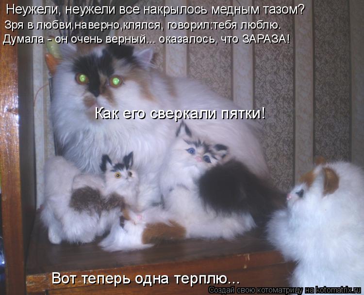 Котоматрица: Неужели, неужели все накрылось медным тазом? Зря в любви,наверно,клялся, говорил:тебя люблю. Думала - он очень верный... оказалось, что ЗАРАЗА!