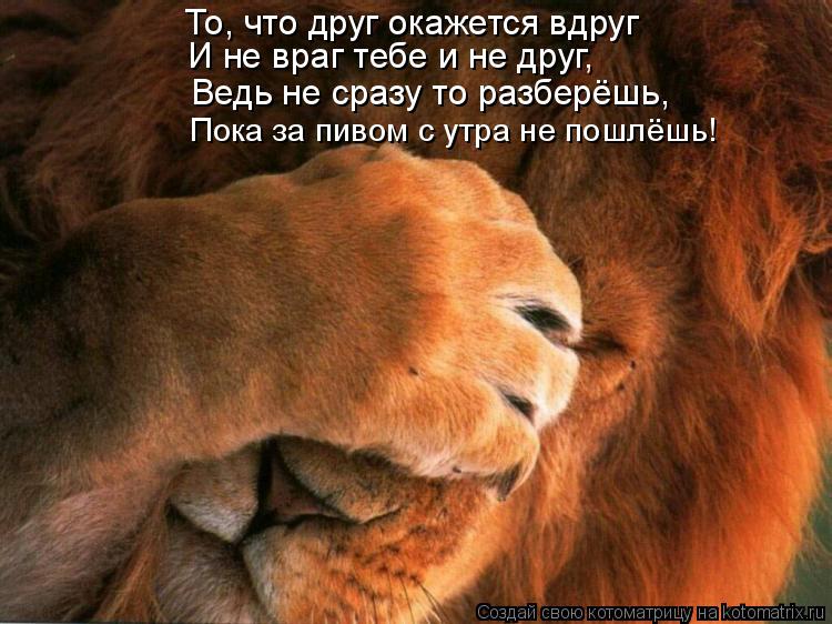 Котоматрица: И не враг тебе и не друг, То, что друг окажется вдруг Пока за пивом с утра не пошлёшь! Ведь не сразу то разберёшь,