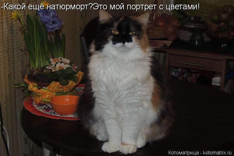 Котоматрица: -Какой ещё натюрморт?Это мой портрет с цветами!