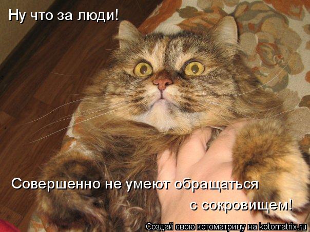 Котоматрица: Ну что за люди!  Совершенно не умеют обращаться  с сокровищем!