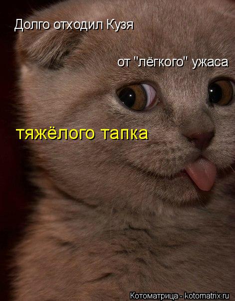 Котоматрица: Долго отходил Кузя от "лёгкого" ужаса тяжёлого тапка