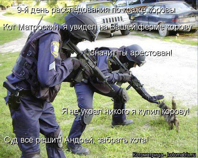 Котоматрица: 9-й день расследования по краже коровы Кот Матроскин, я увидел на Вашей ферме корову Значит ты арестован! Я не украл никого я купил корову! Су