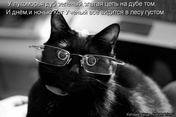Котоматрица: У лукоморья дуб зелёный,златая цепь на дубе том, И днём,и ночью Кот Учёный всё видится в лесу густом.