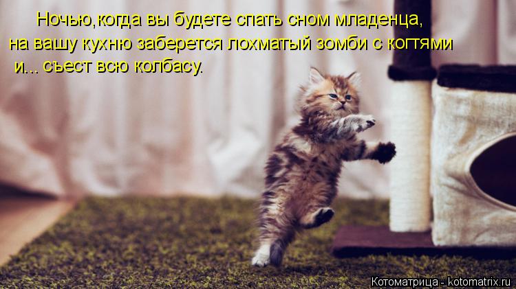 Котоматрица: Ночью,когда вы будете спать сном младенца, на вашу кухню заберется лохматый зомби с когтями и... съест всю колбасу.
