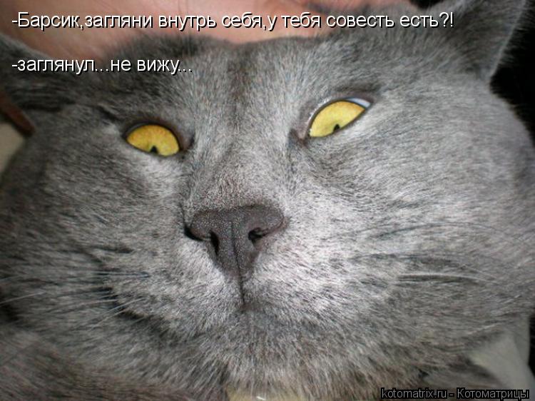 Котоматрица: -Барсик,загляни внутрь себя,у тебя совесть есть?! -заглянул...не вижу...