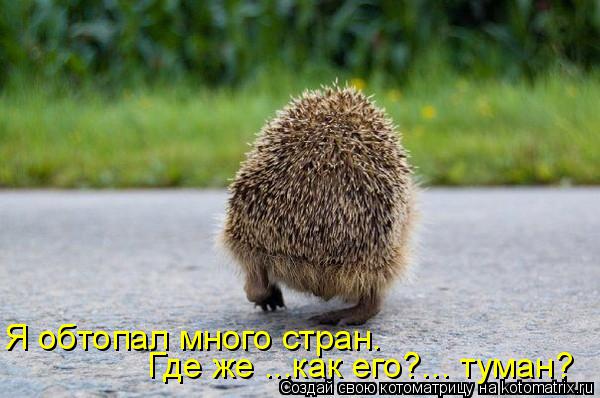 Котоматрица: Где же ...как его?... туман? Я обтопал много стран.