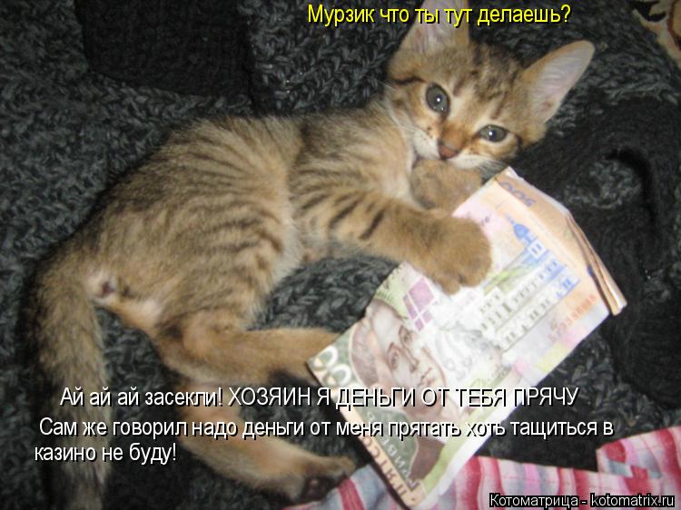 Котоматрица: Мурзик что ты тут делаешь? Ай ай ай засекли! ХОЗЯИН Я ДЕНЬГИ ОТ ТЕБЯ ПРЯЧУ  Сам же говорил надо деньги от меня прятать хоть тащиться в казино 