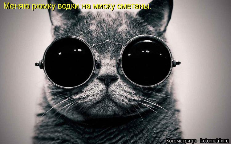 Котоматрица: Меняю рюмку водки на миску сметаны.