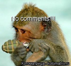 Котоматрица: No comments!!!