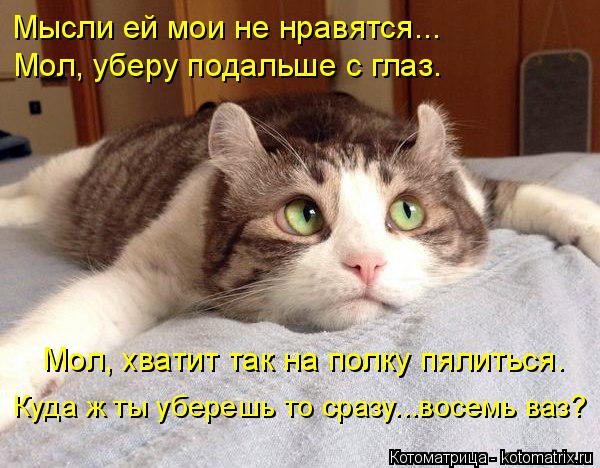 Котоматрица: Мысли ей мои не нравятся... Мол, уберу подальше с глаз. Мол, хватит так на полку пялиться. Куда ж ты уберешь то сразу...восемь ваз?