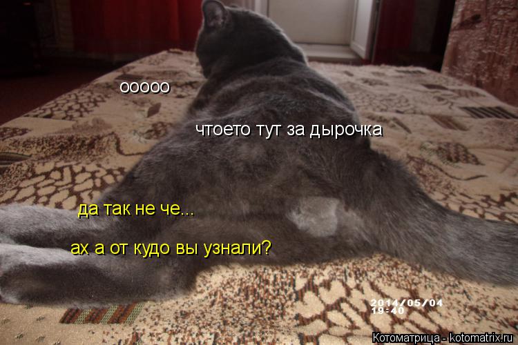Котоматрица: ооооо чтоето тут за дырочка ах а от кудо вы узнали? да так не че...
