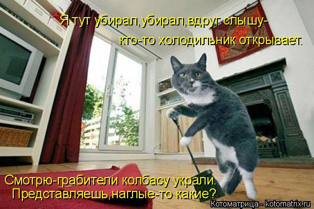 Котоматрица: Я тут убирал,убирал,вдруг слышу- кто-то холодильник открывает. Смотрю-грабители колбасу украли. Представляешь,наглые-то какие?