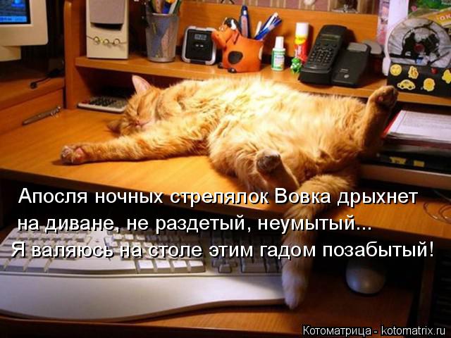 Котоматрица: Апосля ночных стрелялок Вовка дрыхнет на диване, не раздетый, неумытый... Я валяюсь на столе этим гадом позабытый!