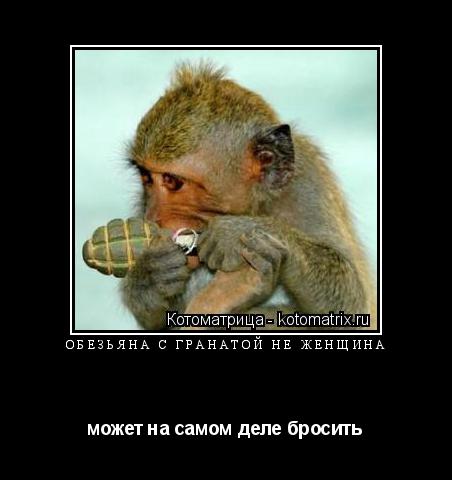 Котоматрица: ОБЕЗЬЯНА С ГРАНАТОЙ НЕ ЖЕНЩИНА  может на самом деле бросить