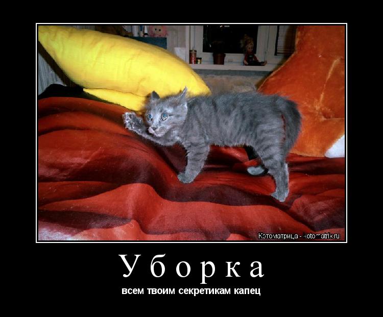 Котоматрица: Уборка всем твоим секретикам капец