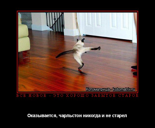 Котоматрица: ВСЕ НОВОЕ - ЭТО ХОРОШО ЗАБЫТОЕ СТАРОЕ Оказывается, чарльстон никогда и не старел