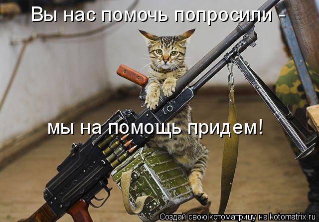 Котоматрица: Вы нас помочь попросили - мы на помощь придем!