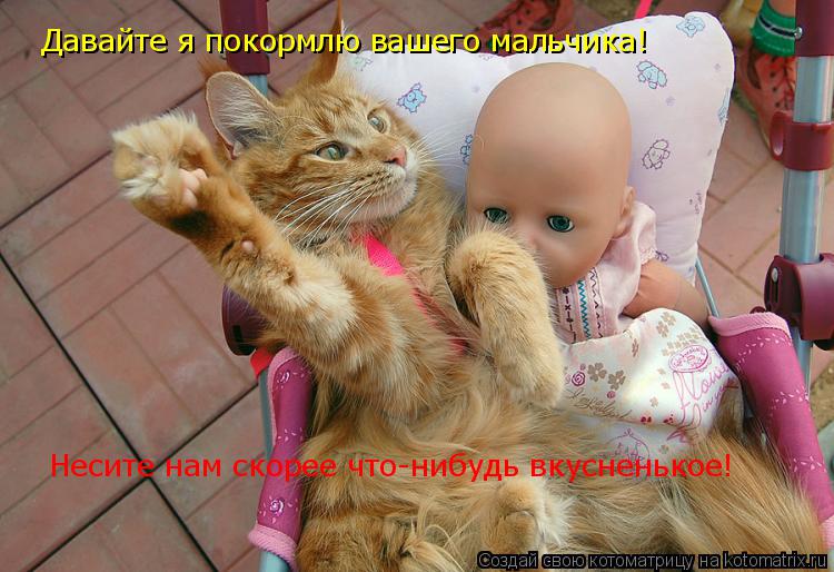 Котоматрица: Давайте я покормлю вашего мальчика! Несите нам скорее что-нибудь вкусненькое!